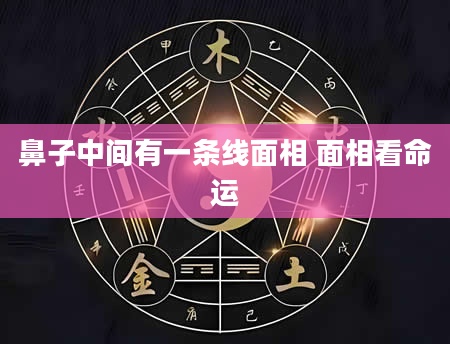 鼻子中间有一条线面相 面相看命运