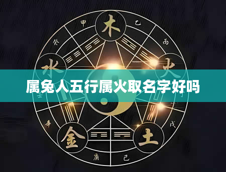 属兔人五行属火取名字好吗