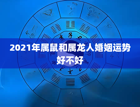 2021年属鼠和属龙人婚姻运势好不好