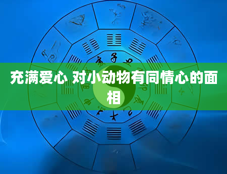充满爱心 对小动物有同情心的面相