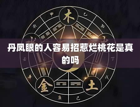 丹凤眼的人容易招惹烂桃花是真的吗