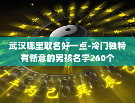 武汉哪里取名好一点-冷门独特有新意的男孩名字260个