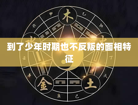 到了少年时期也不反叛的面相特征