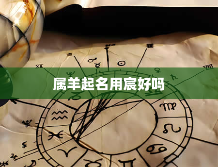 属羊起名用宸好吗