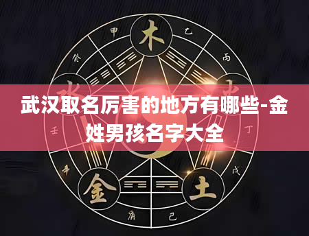 武汉取名厉害的地方有哪些-金姓男孩名字大全
