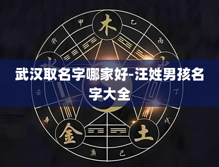 武汉取名字哪家好-汪姓男孩名字大全