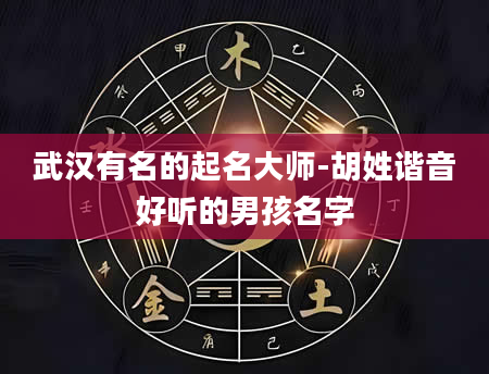 武汉有名的起名大师-胡姓谐音好听的男孩名字
