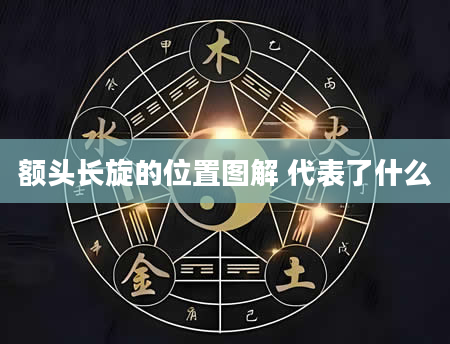 额头长旋的位置图解 代表了什么