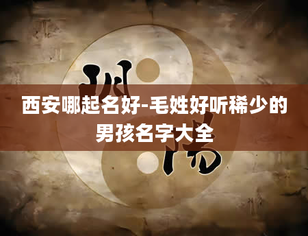 西安哪起名好-毛姓好听稀少的男孩名字大全