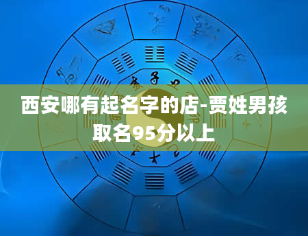 西安哪有起名字的店-贾姓男孩取名95分以上