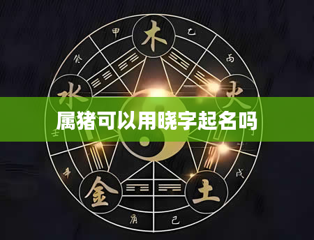 属猪可以用晓字起名吗