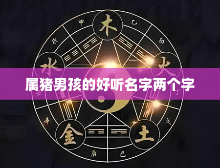属猪男孩的好听名字两个字