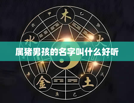 属猪男孩的名字叫什么好听