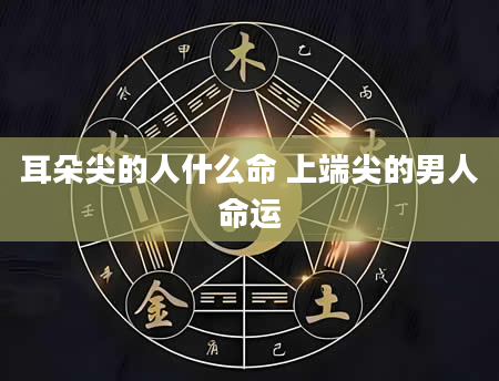 耳朵尖的人什么命 上端尖的男人命运
