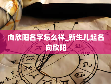 向欣阳名字怎么样_新生儿起名向欣阳