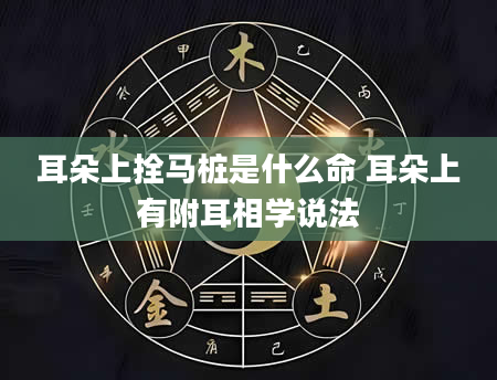 耳朵上拴马桩是什么命 耳朵上有附耳相学说法