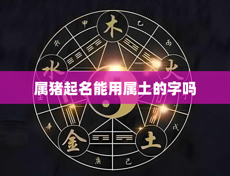 属猪起名能用属土的字吗