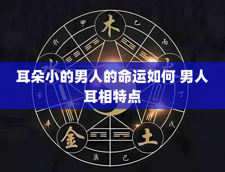 耳朵小的男人的命运如何 男人耳相特点