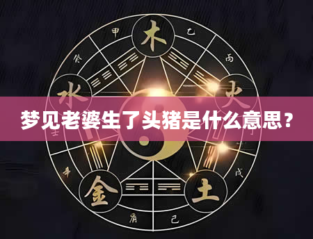 梦见老婆生了头猪是什么意思？