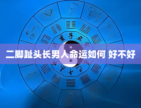 二脚趾头长男人命运如何 好不好