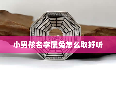 小男孩名字属兔怎么取好听