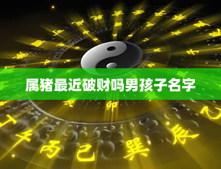 属猪最近破财吗男孩子名字