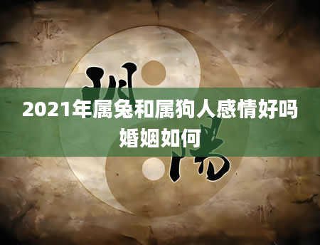 2021年属兔和属狗人感情好吗婚姻如何