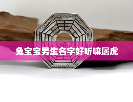 兔宝宝男生名字好听嘛属虎