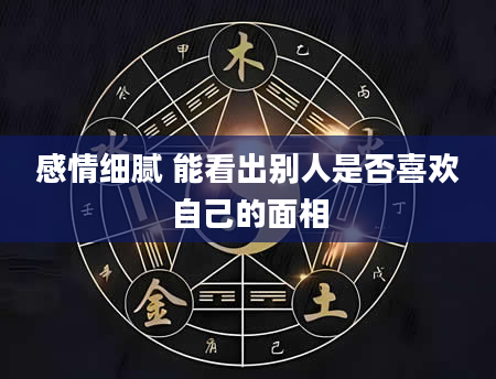 感情细腻 能看出别人是否喜欢自己的面相