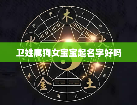卫姓属狗女宝宝起名字好吗
