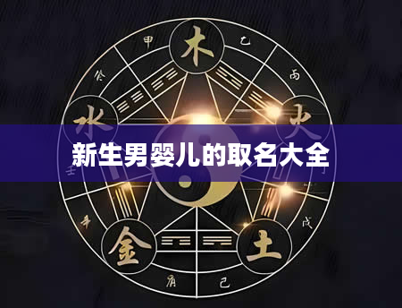 新生男婴儿的取名大全