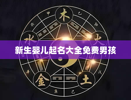 新生婴儿起名大全免费男孩