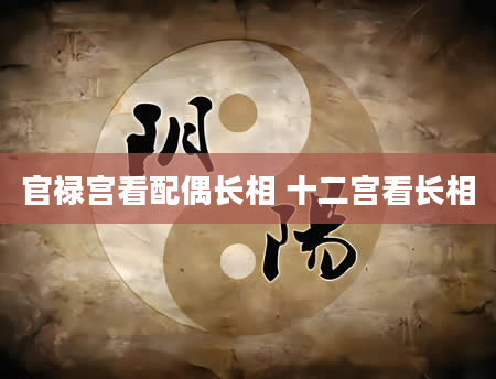 官禄宫看配偶长相 十二宫看长相
