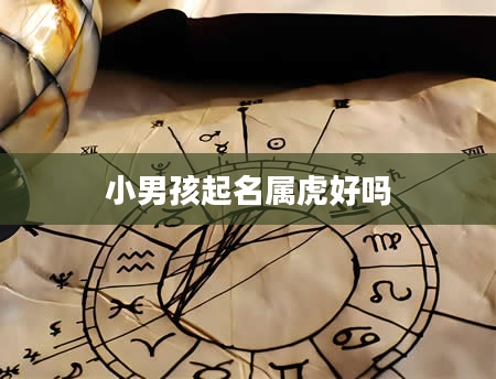 小男孩起名属虎好吗