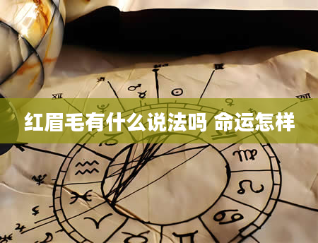 红眉毛有什么说法吗 命运怎样