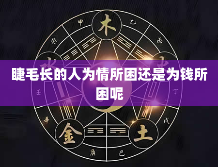 睫毛长的人为情所困还是为钱所困呢
