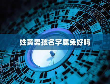 姓黄男孩名字属兔好吗
