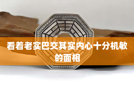 看着老实巴交其实内心十分机敏的面相