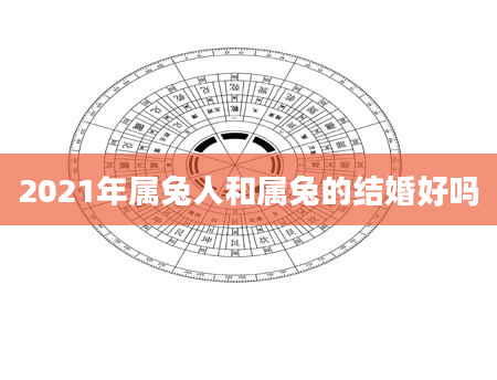 2021年属兔人和属兔的结婚好吗