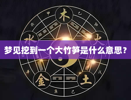 梦见挖到一个大竹笋是什么意思？