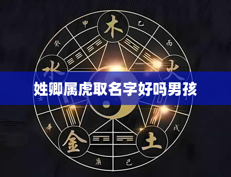 姓卿属虎取名字好吗男孩