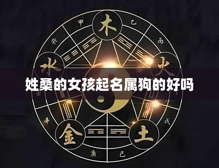 姓桑的女孩起名属狗的好吗