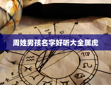 周姓男孩名字好听大全属虎