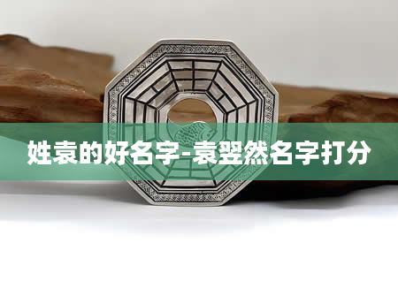 姓袁的好名字-袁翌然名字打分