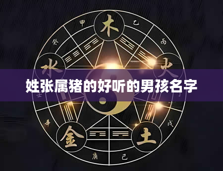 姓张属猪的好听的男孩名字