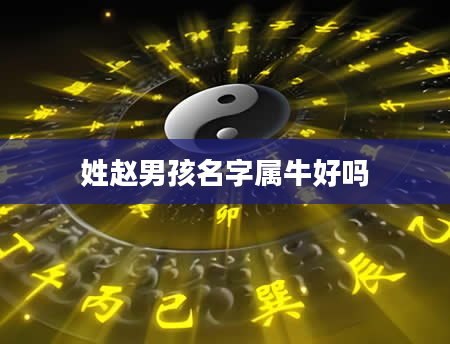 姓赵男孩名字属牛好吗