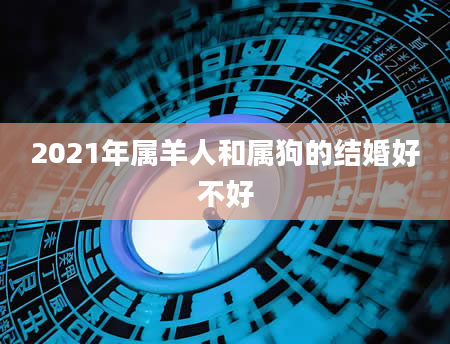 2021年属羊人和属狗的结婚好不好