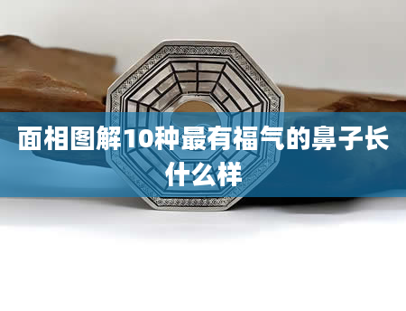 面相图解10种最有福气的鼻子长什么样