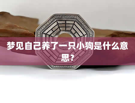 梦见自己养了一只小狗是什么意思？