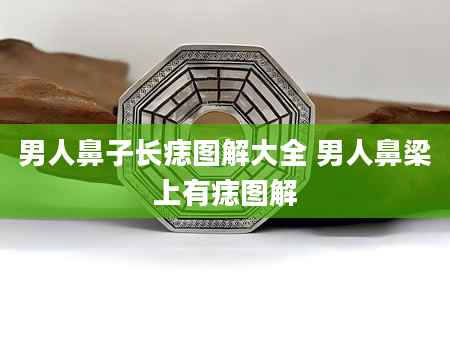 男人鼻子长痣图解大全 男人鼻梁上有痣图解